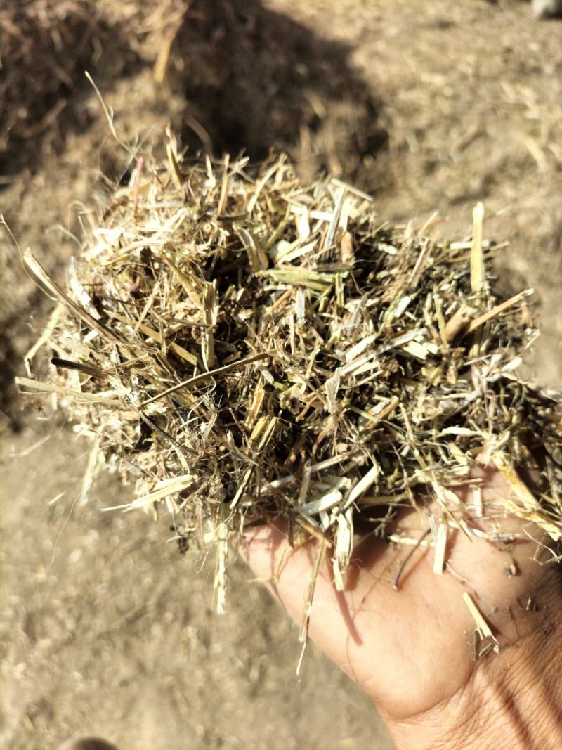 【全年实力供货】花生秧草料牛羊马驴食草动物优质草料产地直供