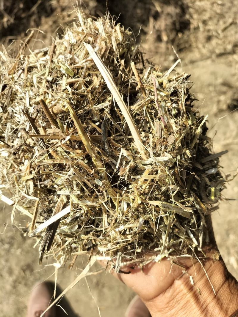 【全年实力供货】花生秧草料牛羊马驴食草动物优质草料产地直供