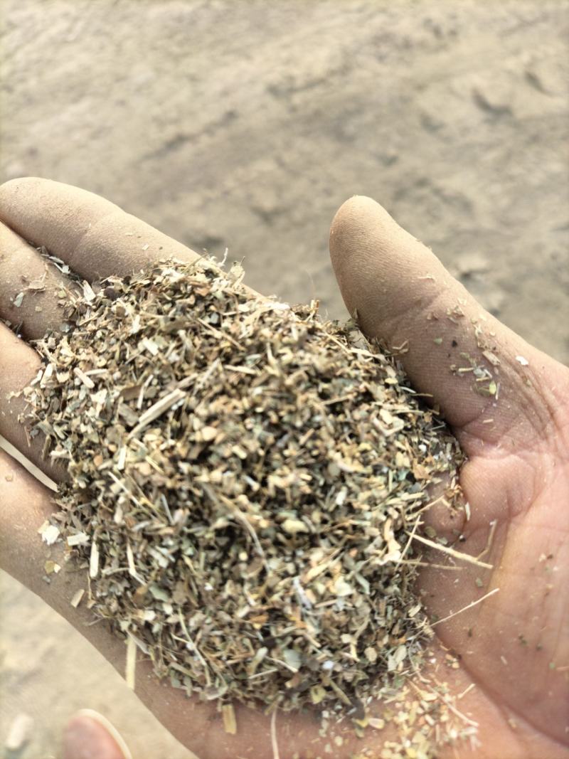 【全年实力供货】花生秧草料牛羊马驴食草动物优质草料产地直供