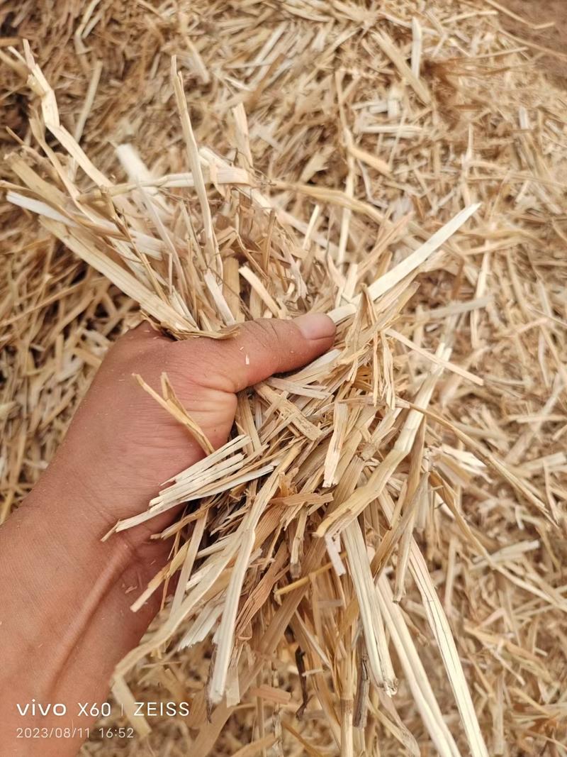 揉丝除尘小麦秸秆安徽宿州大量供应可视频看货价格来电详谈