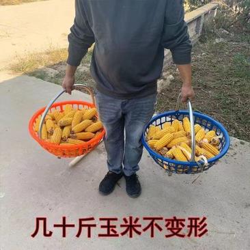 塑料土篮子