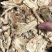 无硫当归野生当归无硫当归岷县当归片中药材可搭配黄芪党参