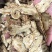 无硫当归野生当归无硫当归岷县当归片中药材可搭配黄芪党参