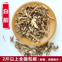 中药材白前野生白前根水杨柳鹅白前草白前白马虎