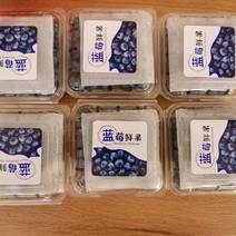 云南纯甜蓝莓L25