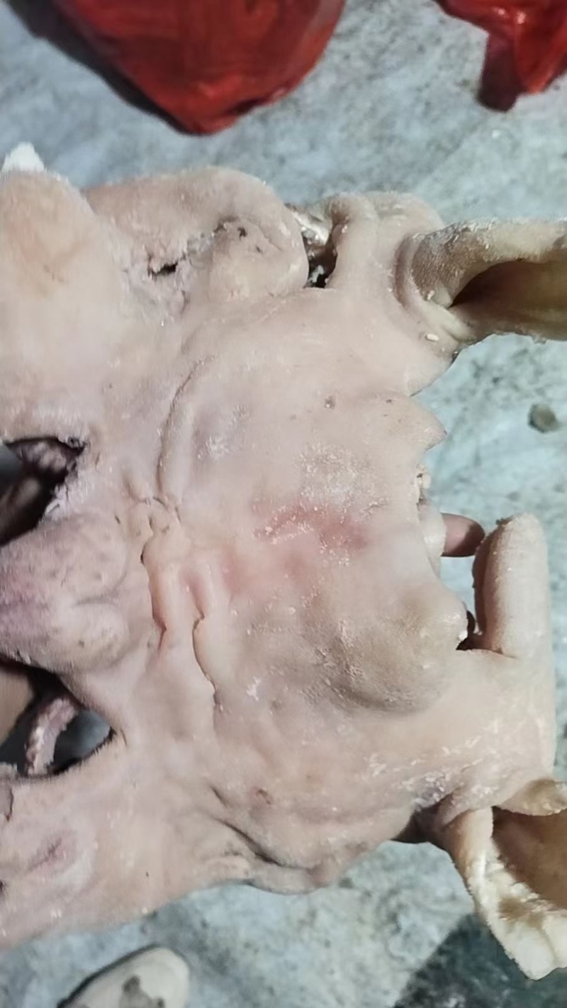 羊杂