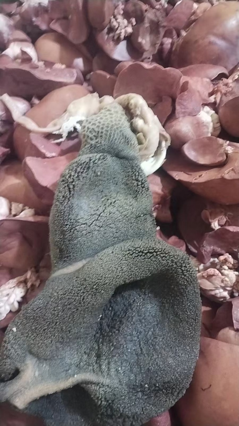 羊杂