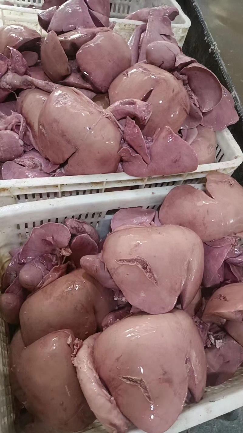 羊杂