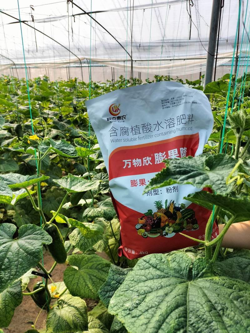 新型膨果水溶肥—膨果隆多元复配有机+无机，快速膨果