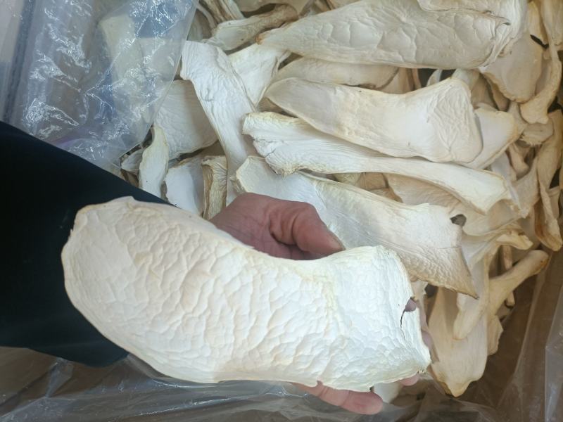 杏鲍菇杏鲍片大片杏鲍菇下单前请咨询运费