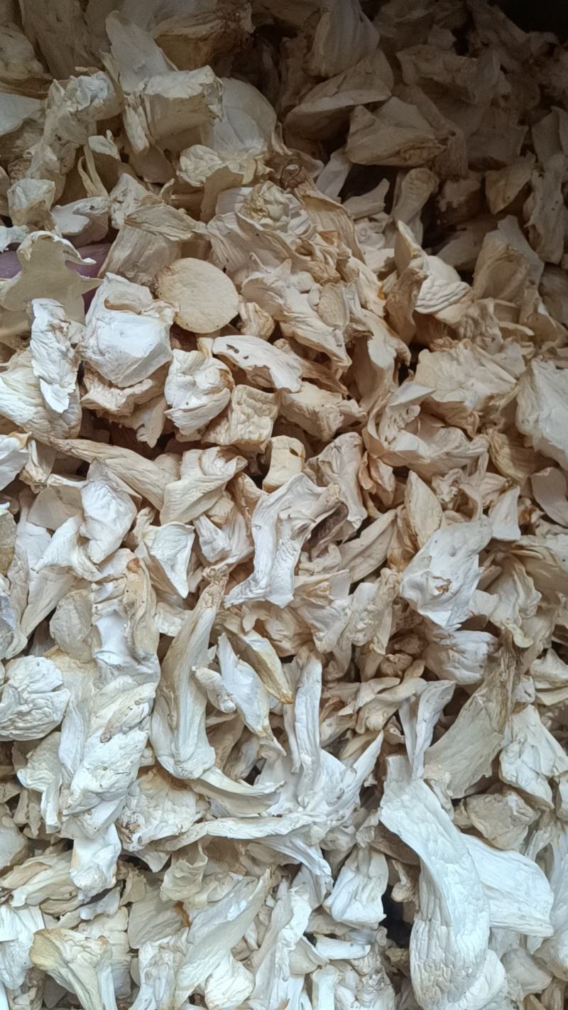 杏鲍菇杏鲍片大片杏鲍菇下单前请咨询运费