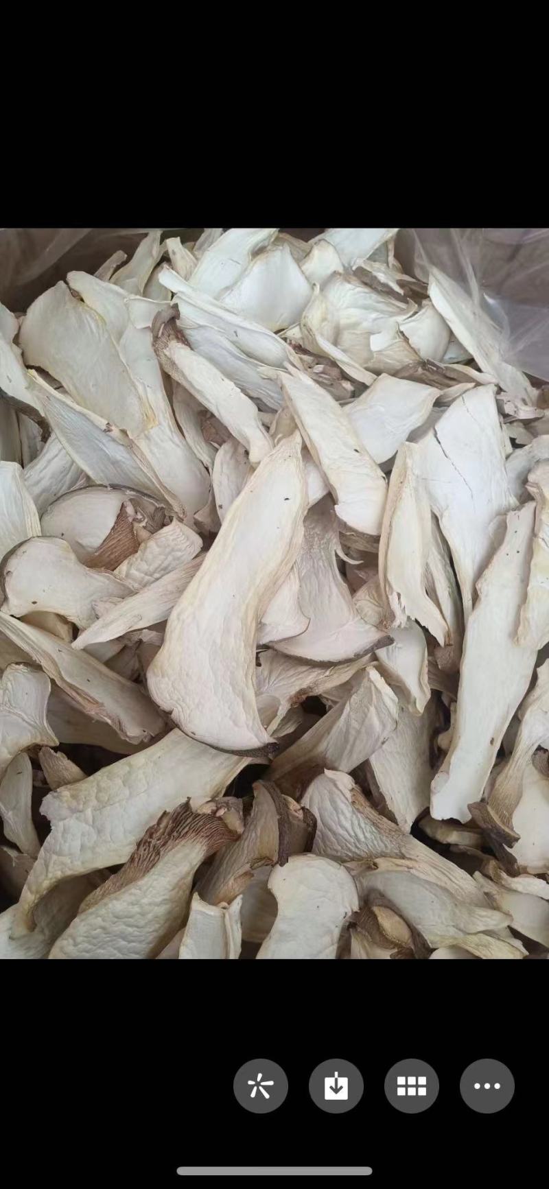 杏鲍菇杏鲍片大片杏鲍菇下单前请咨询运费