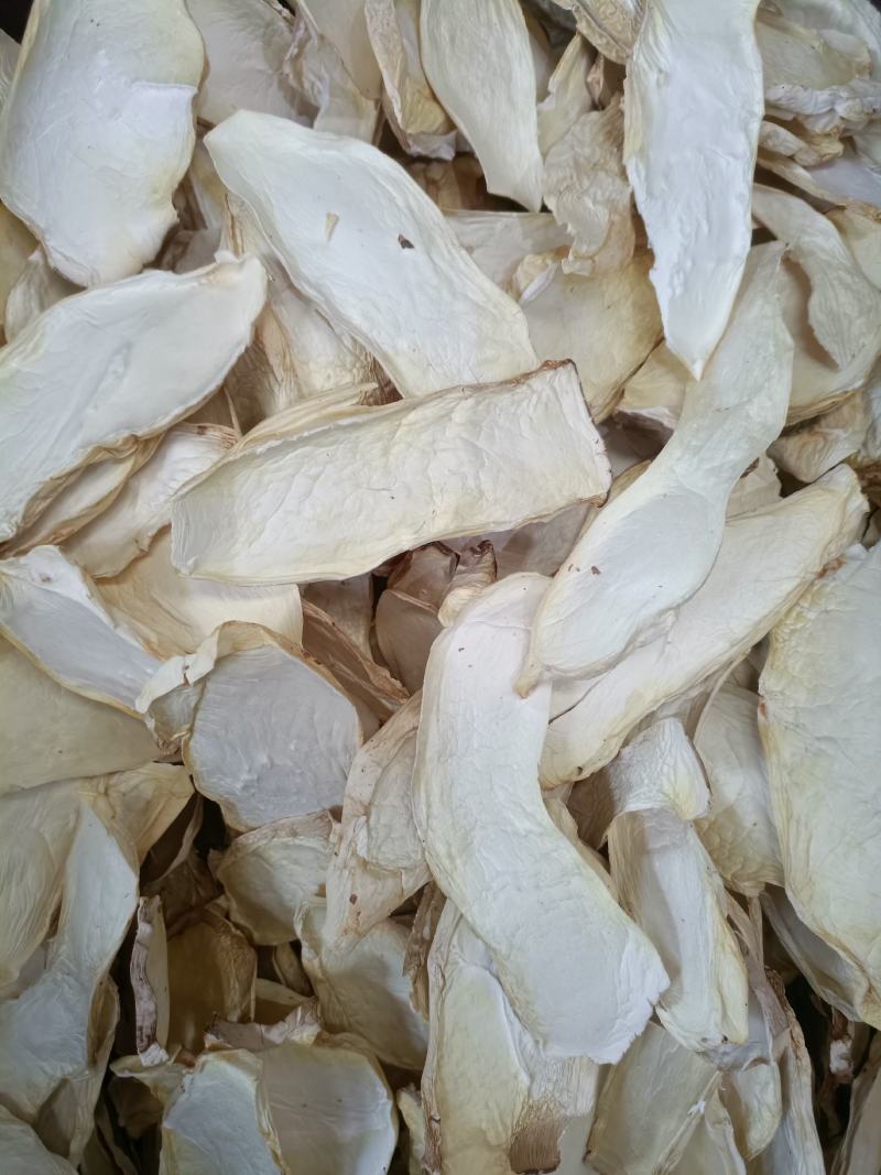 杏鲍菇杏鲍片大片杏鲍菇下单前请咨询运费