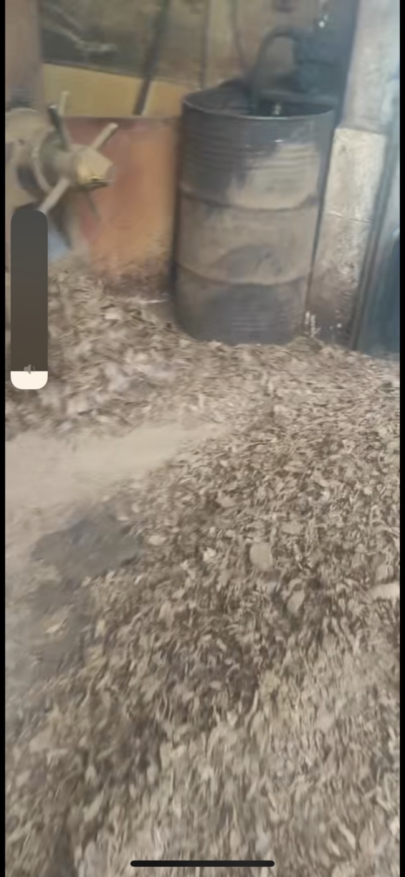 纯菜籽油饼油坊现榨油菜籽饼肥钓鱼打窝油枯饼新鲜菜籽饼