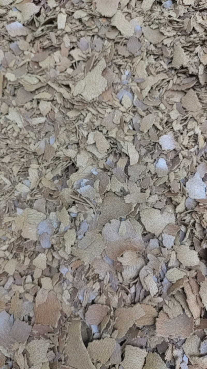 纯菜籽油饼油坊现榨油菜籽饼肥钓鱼打窝油枯饼新鲜菜籽饼