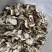 美味牛肝菌云南黄牛肝菌干片土特产7天无理由
