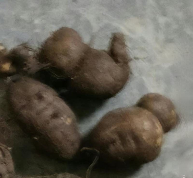 三叶青鲜果统货质量扛扛