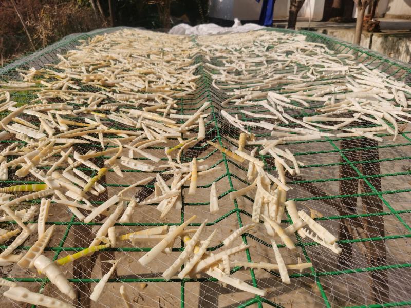 2025年雷竹笋干，盐水煮晒干真空袋包装每袋净重70g。