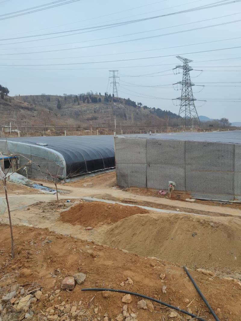 设施大棚出租出售转让土地