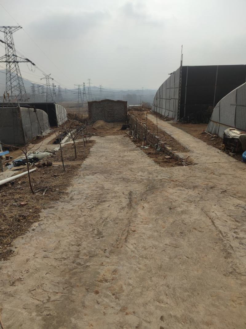 设施大棚出租出售转让土地