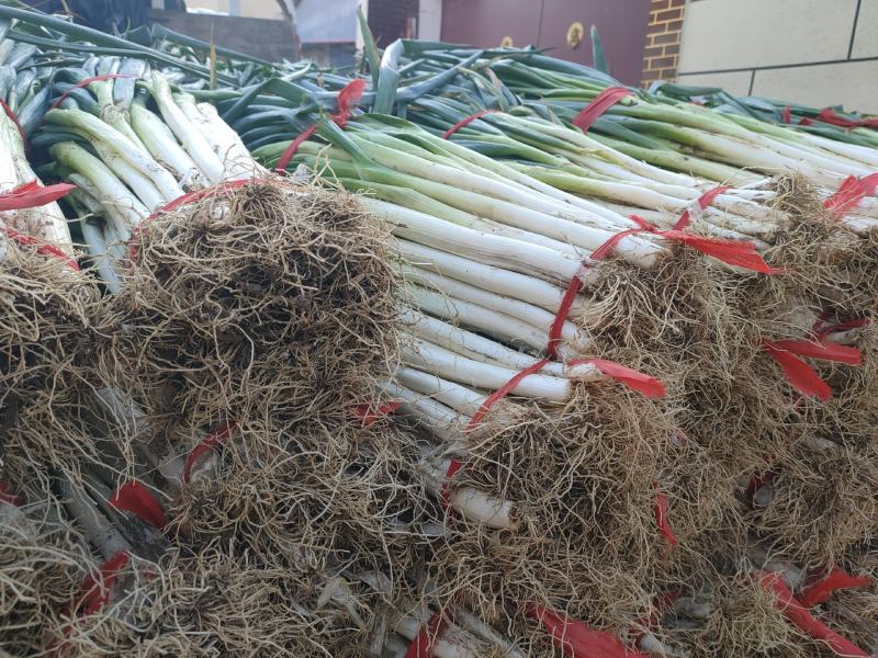 长白大葱，产地直销