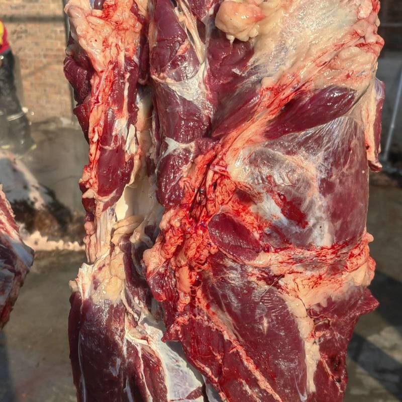 河北新鲜驴肉纯干驴肉正宗无注水自家屠宰场