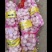 【精】大蒜河南新大蒜紫皮蒜-辣味十足-品质保障-回购超高