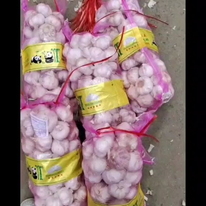 【精】大蒜河南新大蒜紫皮蒜-辣味十足-品质保障-回购超高