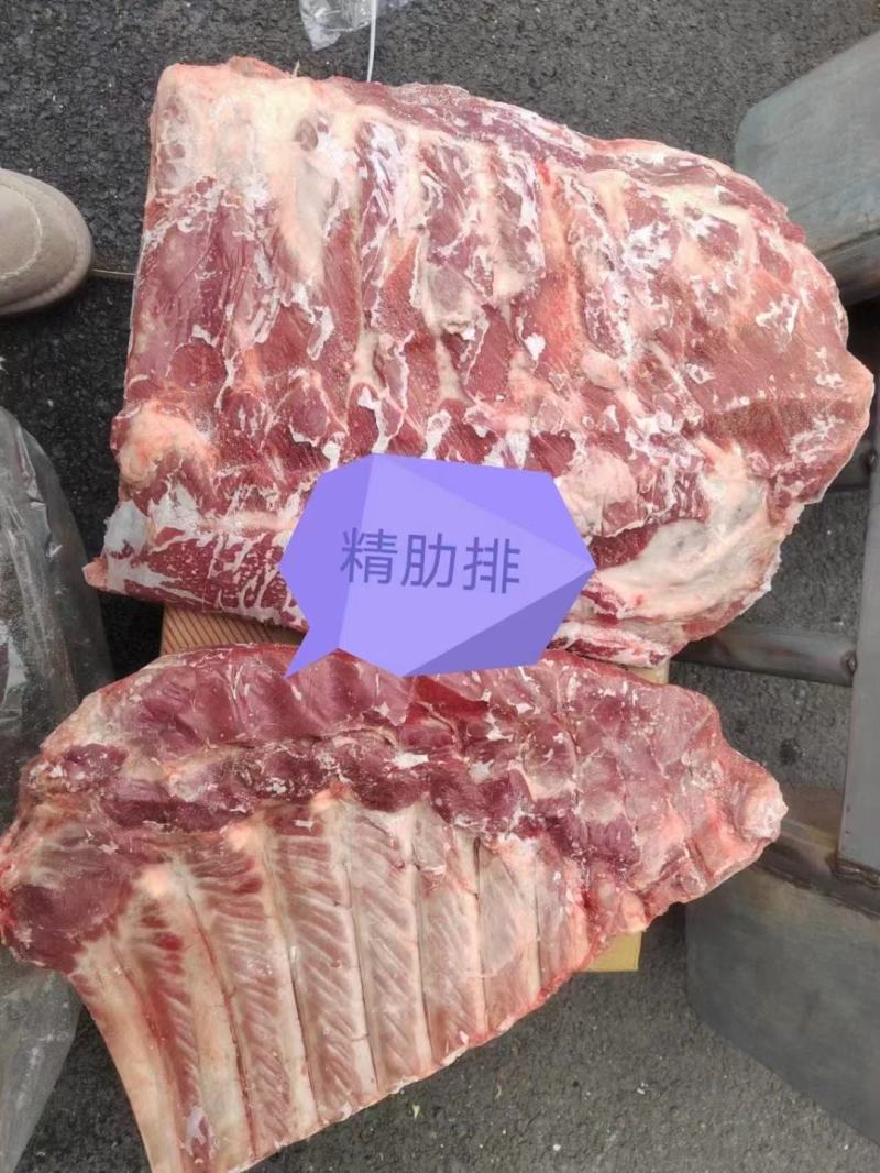 国产精肋排