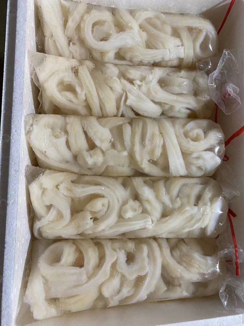 鲍鱼片，红鱼肚