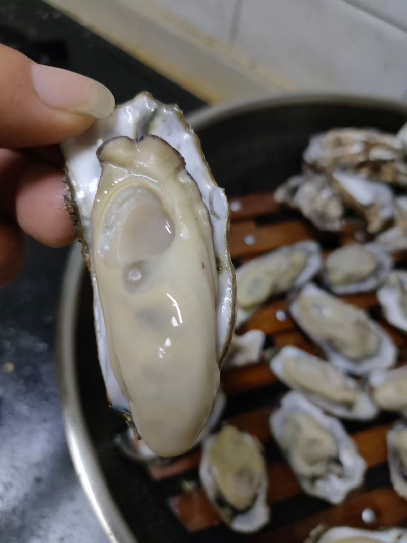 1-2两大量有