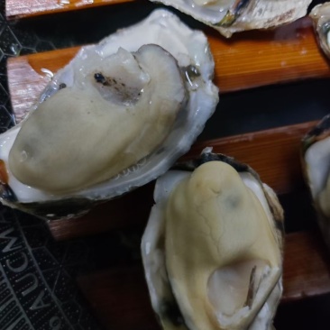1-2两大量有