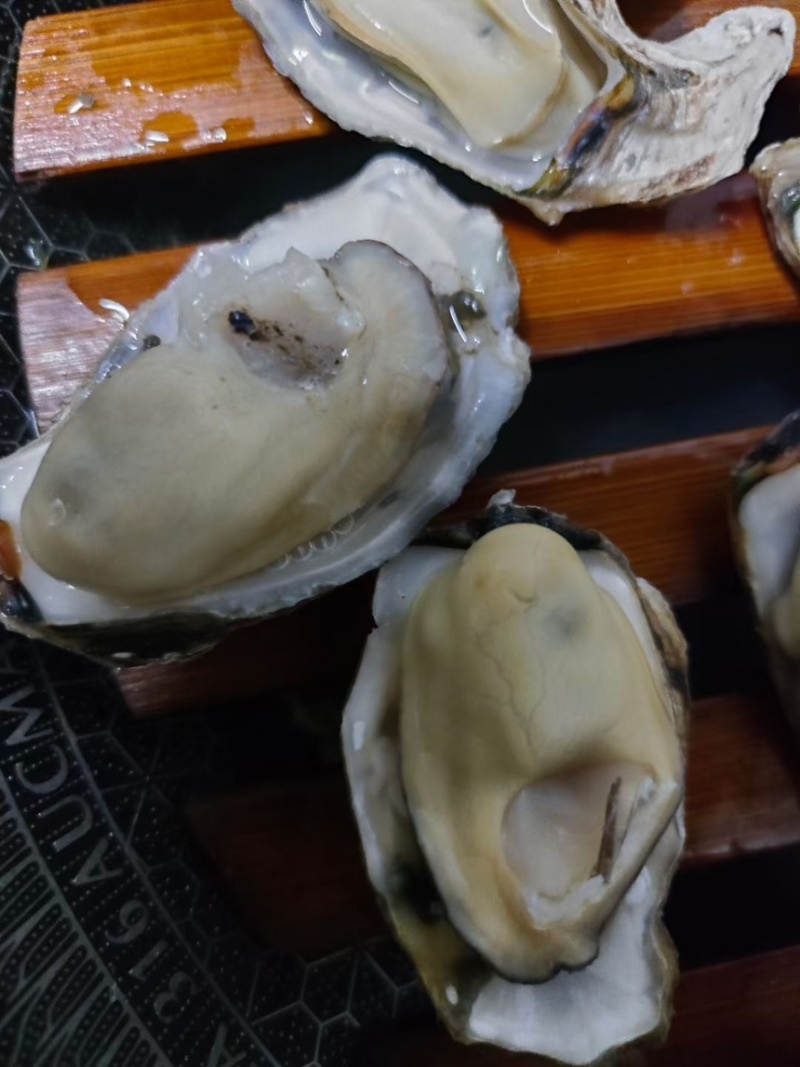 1-2两大量有