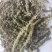 荆芥荆芥统段荆芥穗地道药材重在品质今年新货