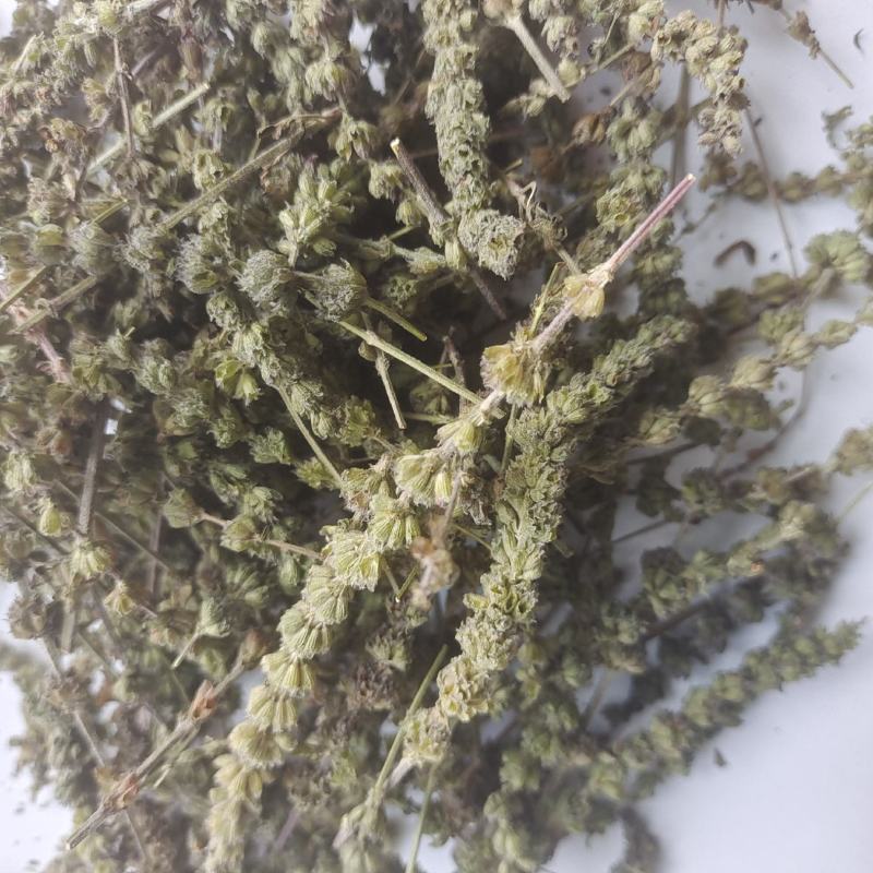 荆芥荆芥统段荆芥穗地道药材重在品质今年新货