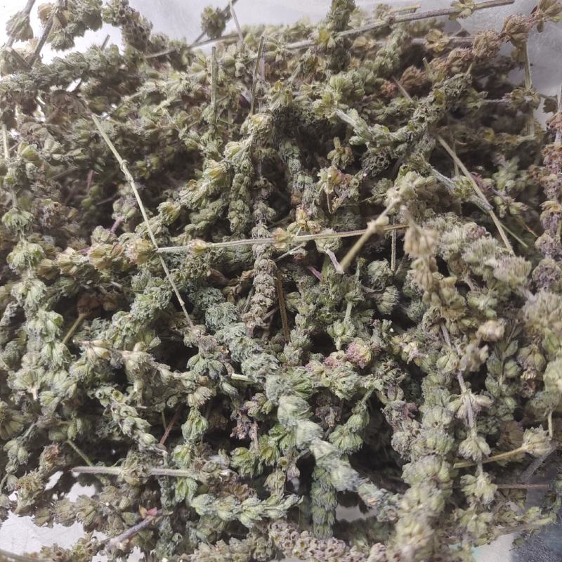 荆芥荆芥统段荆芥穗地道药材重在品质今年新货