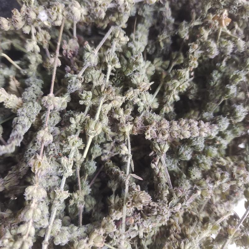 荆芥荆芥统段荆芥穗地道药材重在品质今年新货