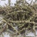 荆芥荆芥统段荆芥穗地道药材重在品质今年新货