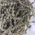 荆芥荆芥统段荆芥穗地道药材重在品质今年新货