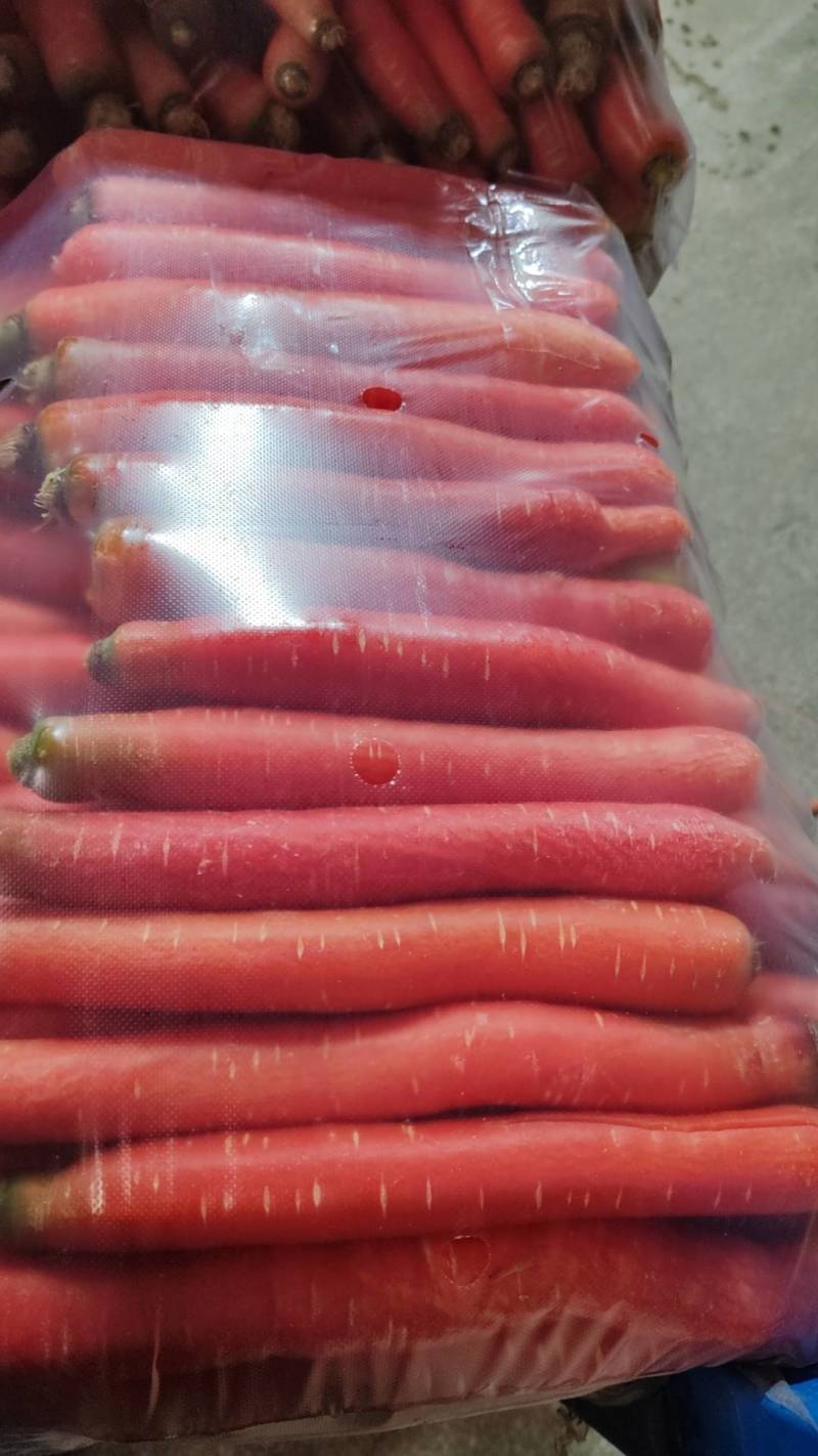 精品红萝卜品类齐全货源充足量大从优欢迎老板选购可视频