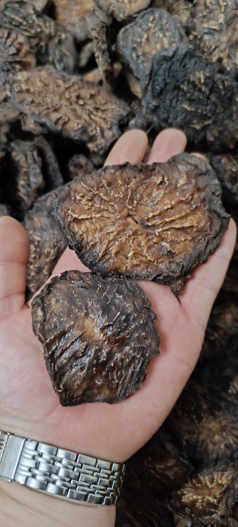 肉苁蓉一级批发阿拉善油苁蓉切片鲜切片苁蓉整根