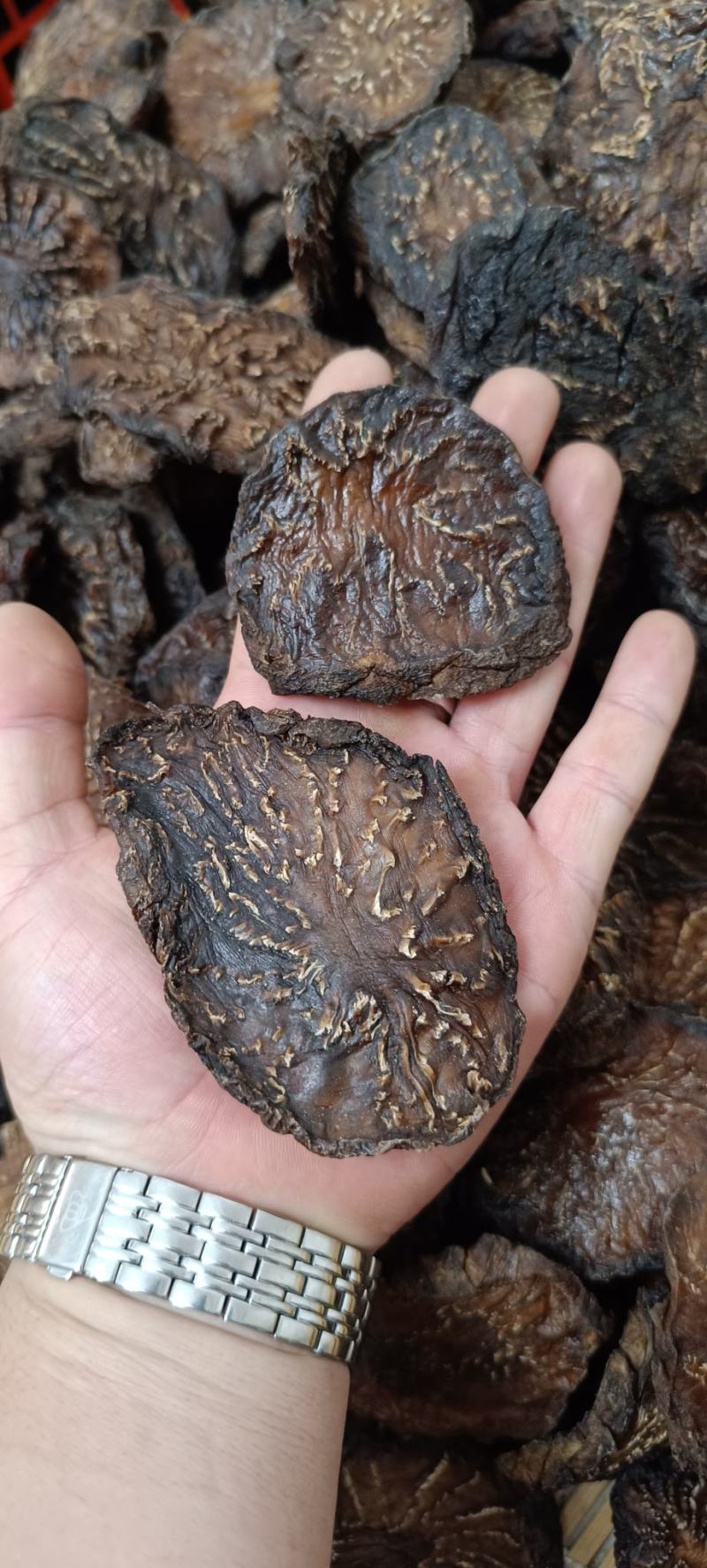 肉苁蓉一级批发阿拉善油苁蓉切片鲜切片苁蓉整根