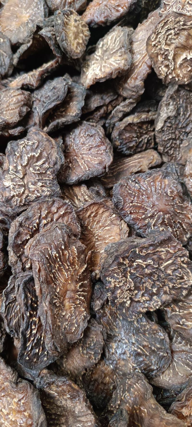 肉苁蓉一级批发阿拉善油苁蓉切片鲜切片苁蓉整根