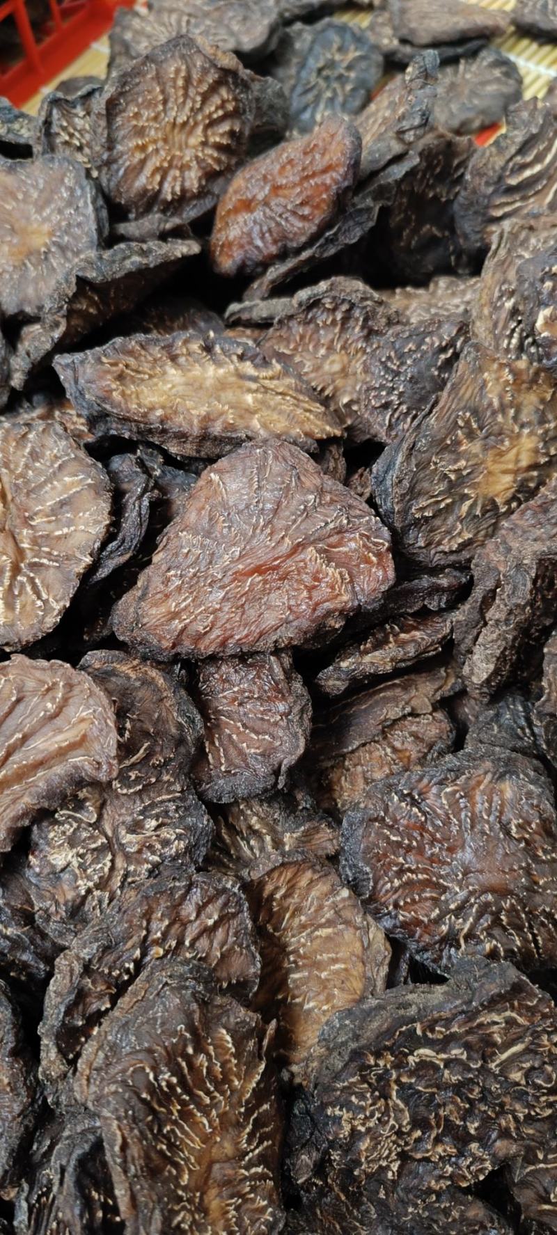 肉苁蓉一级批发阿拉善油苁蓉切片鲜切片苁蓉整根