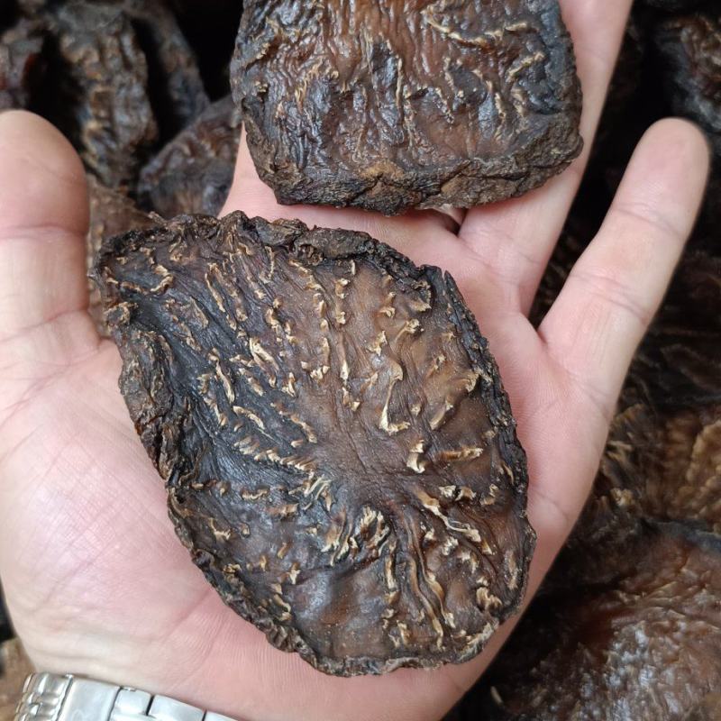 肉苁蓉一级批发阿拉善油苁蓉切片鲜切片苁蓉整根