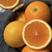 新鲜果冻橙甜蜜多汁现摘现发货源充足品质保证欢迎老板电话联系