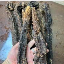 油苁蓉2根一斤阿拉善肉苁蓉整根内蒙古发货非锁阳
