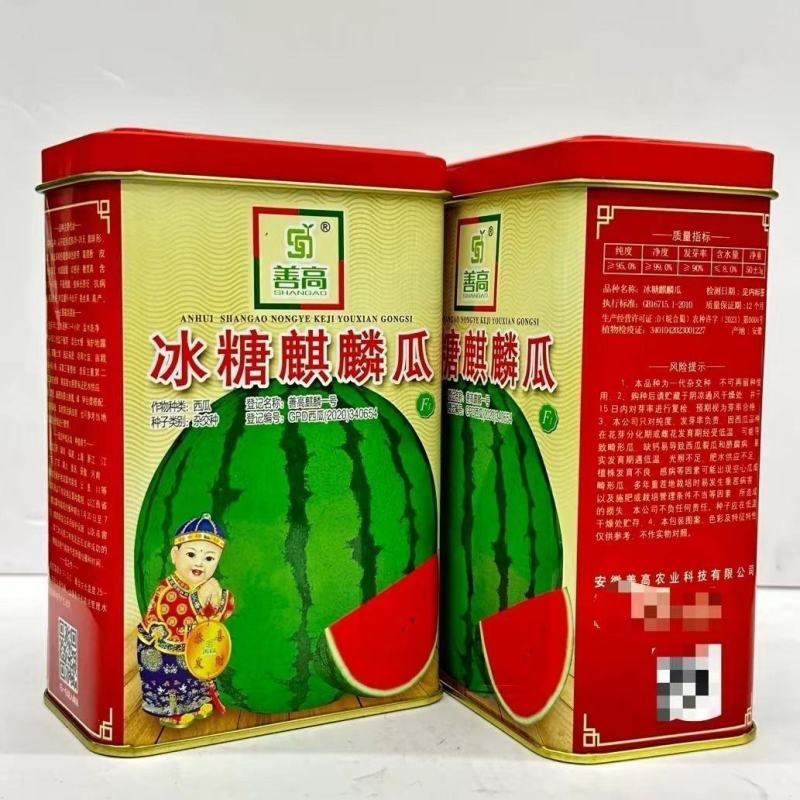 冰糖麒麟瓜西瓜种子早熟抗病强高产善高麒麟一号西瓜籽大田用