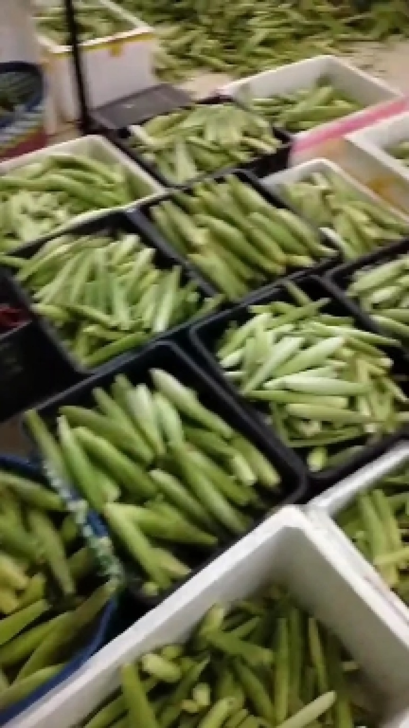 玉米笋甜小玉米笋迷你拇指玉米蔬菜玉米笋
