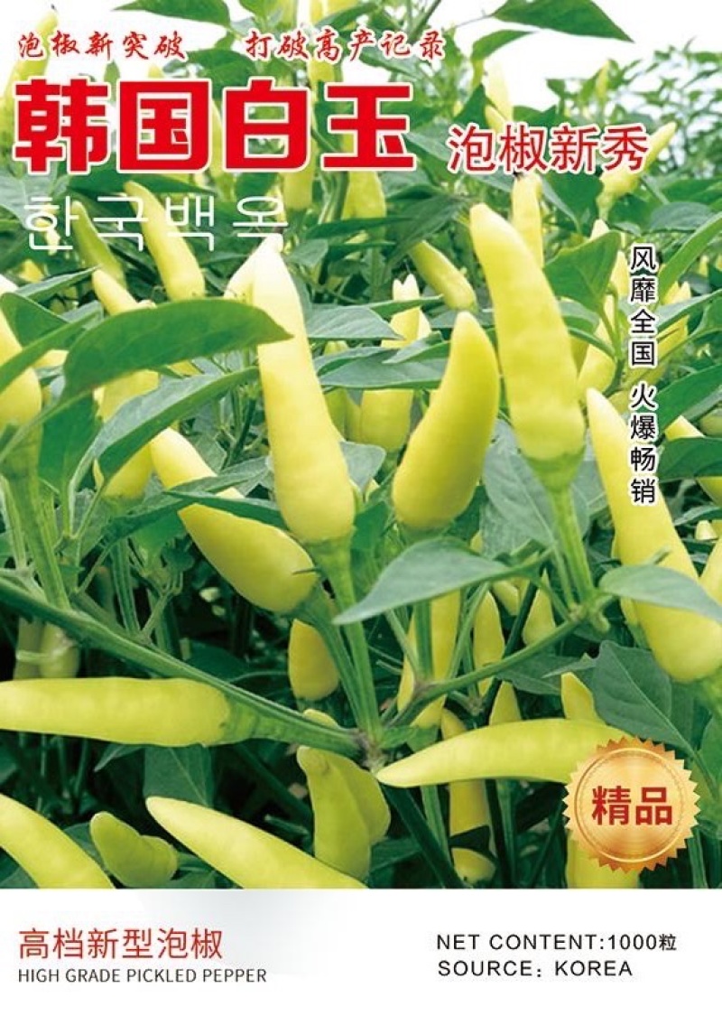 野山椒种子白色泡椒种子，白小米辣种子朝天椒种子